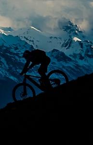 Bicicletas