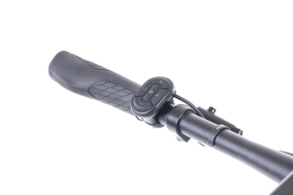 Levit Flueco