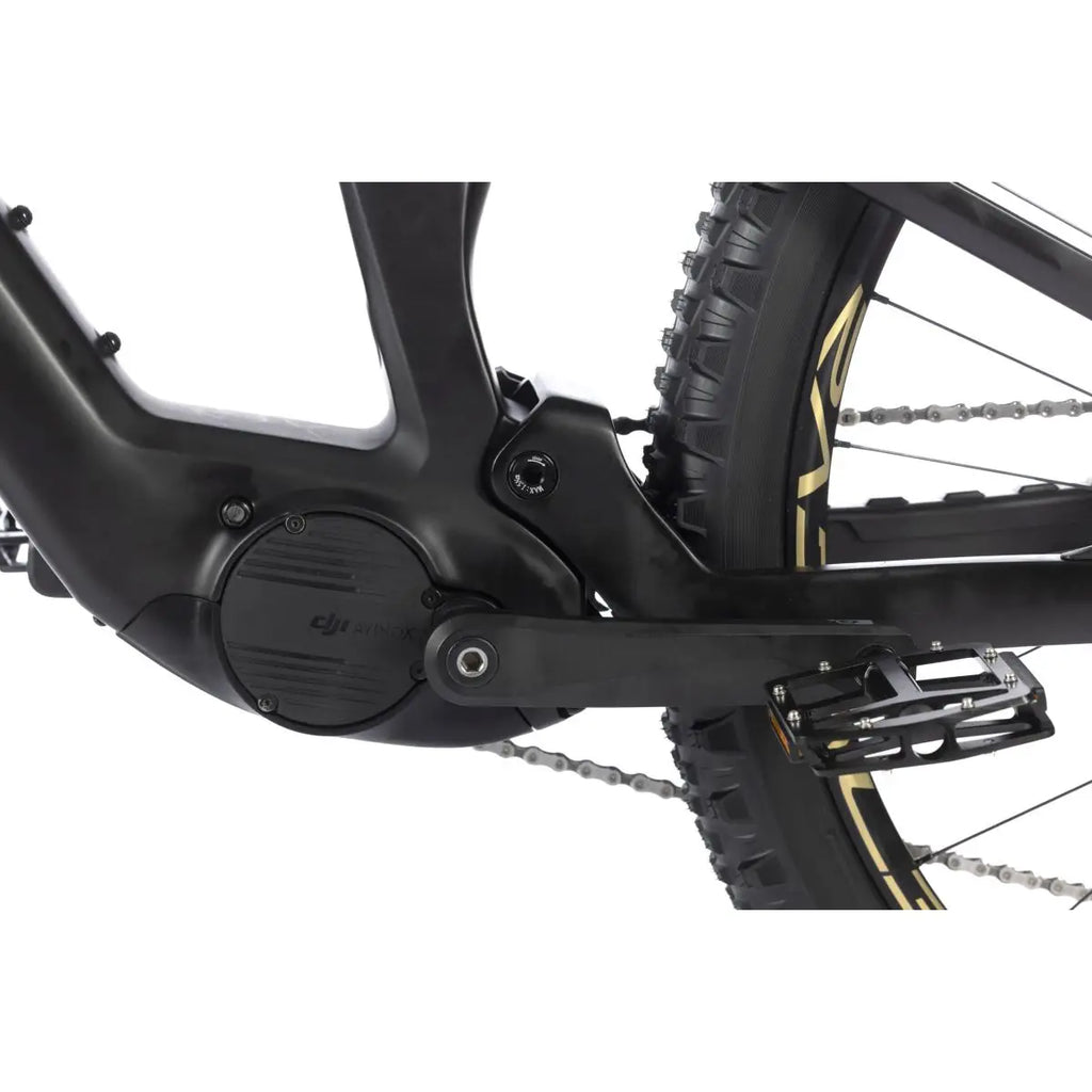 WHISTLE AXR C8.6