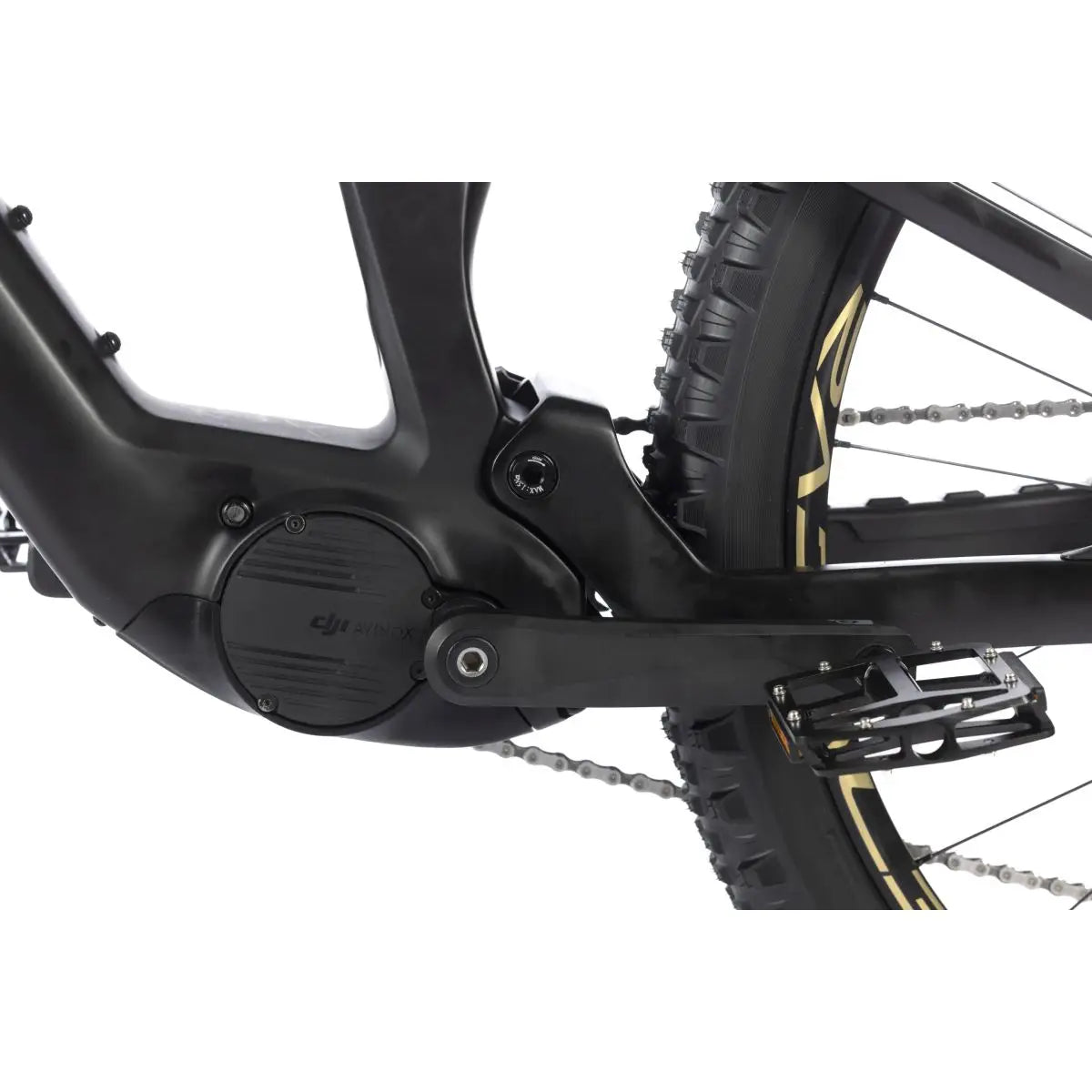 WHISTLE AXR C6.6
