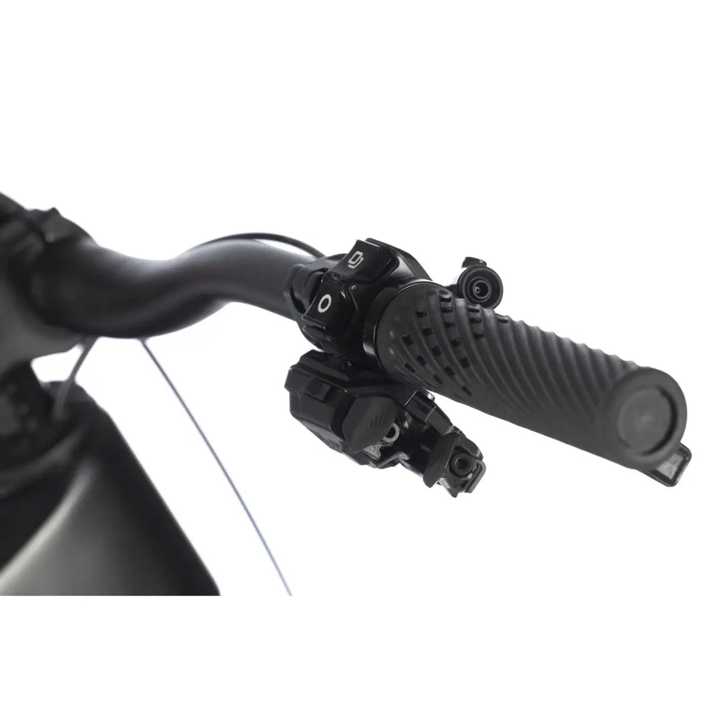 WHISTLE AXR C8.6