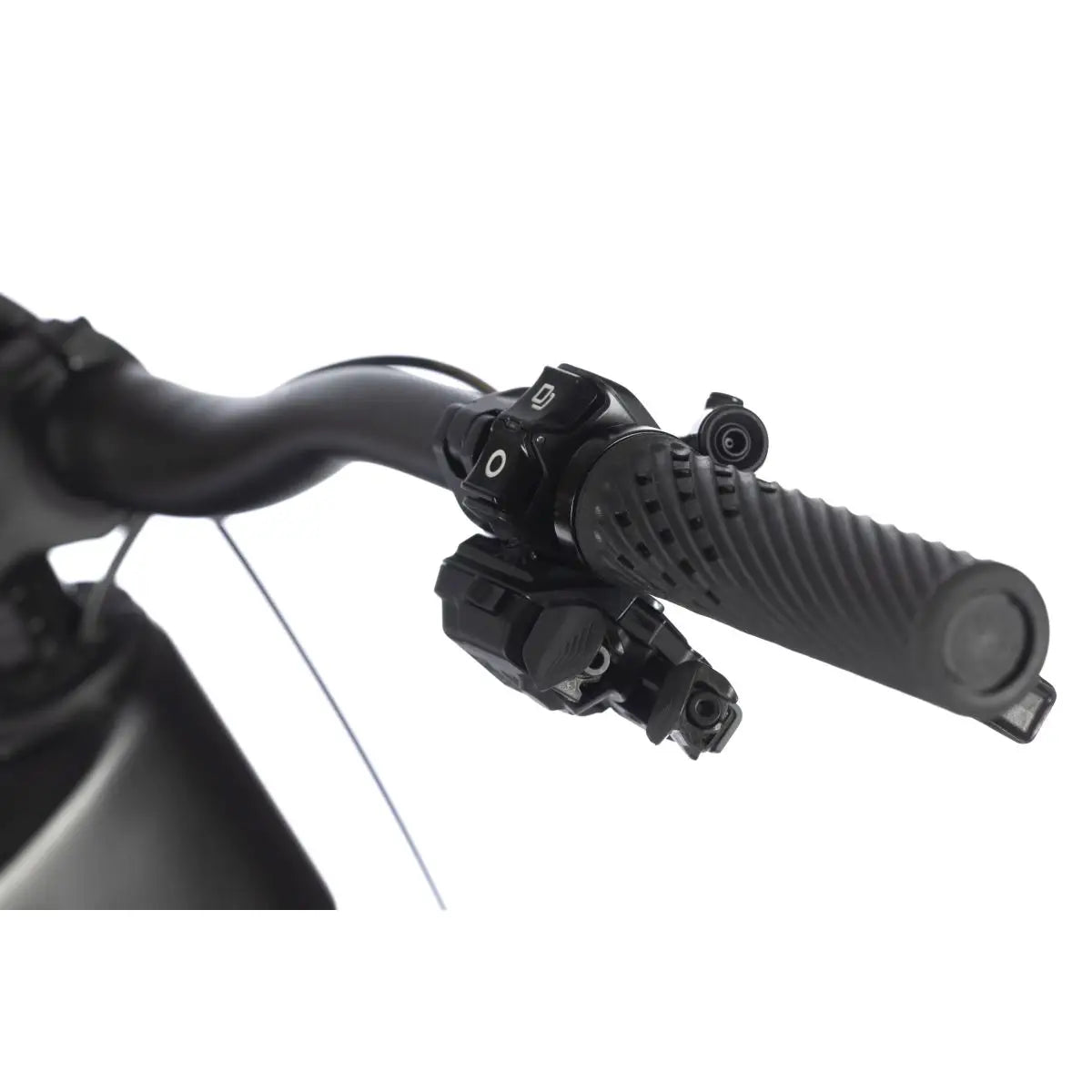 WHISTLE AXR C8.6