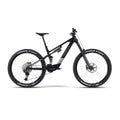 WHISTLE AXR C8.6
